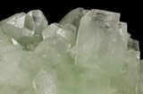 Apple Green Apophyllite Crystal Cluster - India #44435-2